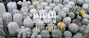 Astropyhtum คืออะไร