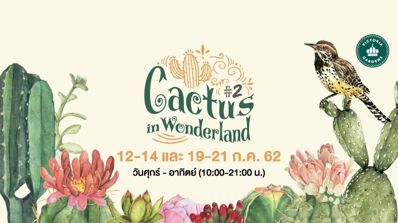 Cactus in Wonderland 
