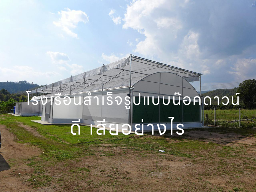 วิธีการปลูกเลี้ยงและดูแลกระบองเพชร